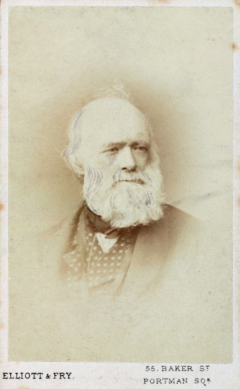 Sir Charles Lyell, English geologist, c 1865-1875 by Unbekannt