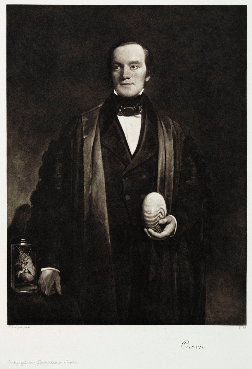 Sir Richard Owen, English Naturalist and Paleontologist, c 1845 by Unbekannt