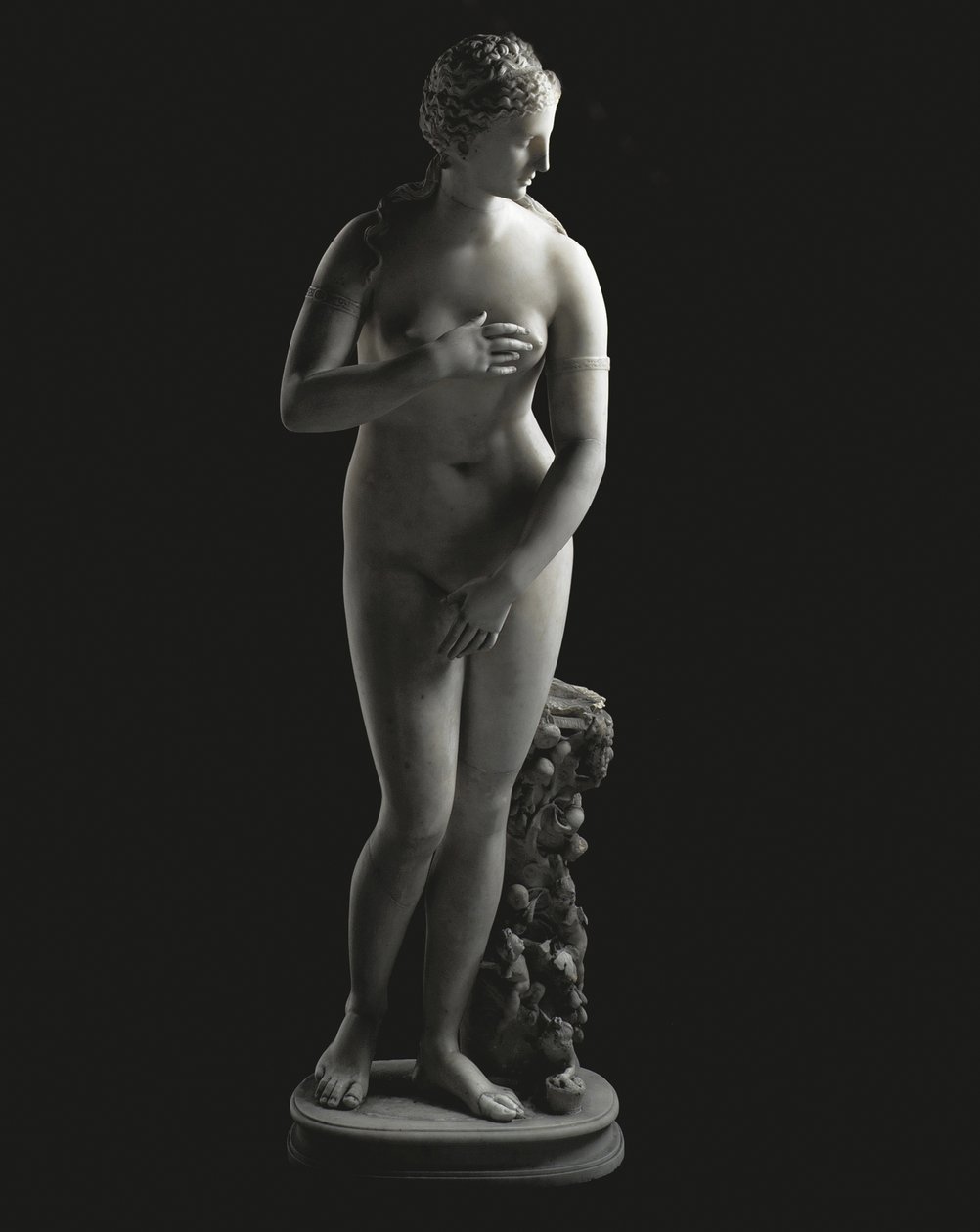 The Jenkins Venus by Unbekannt