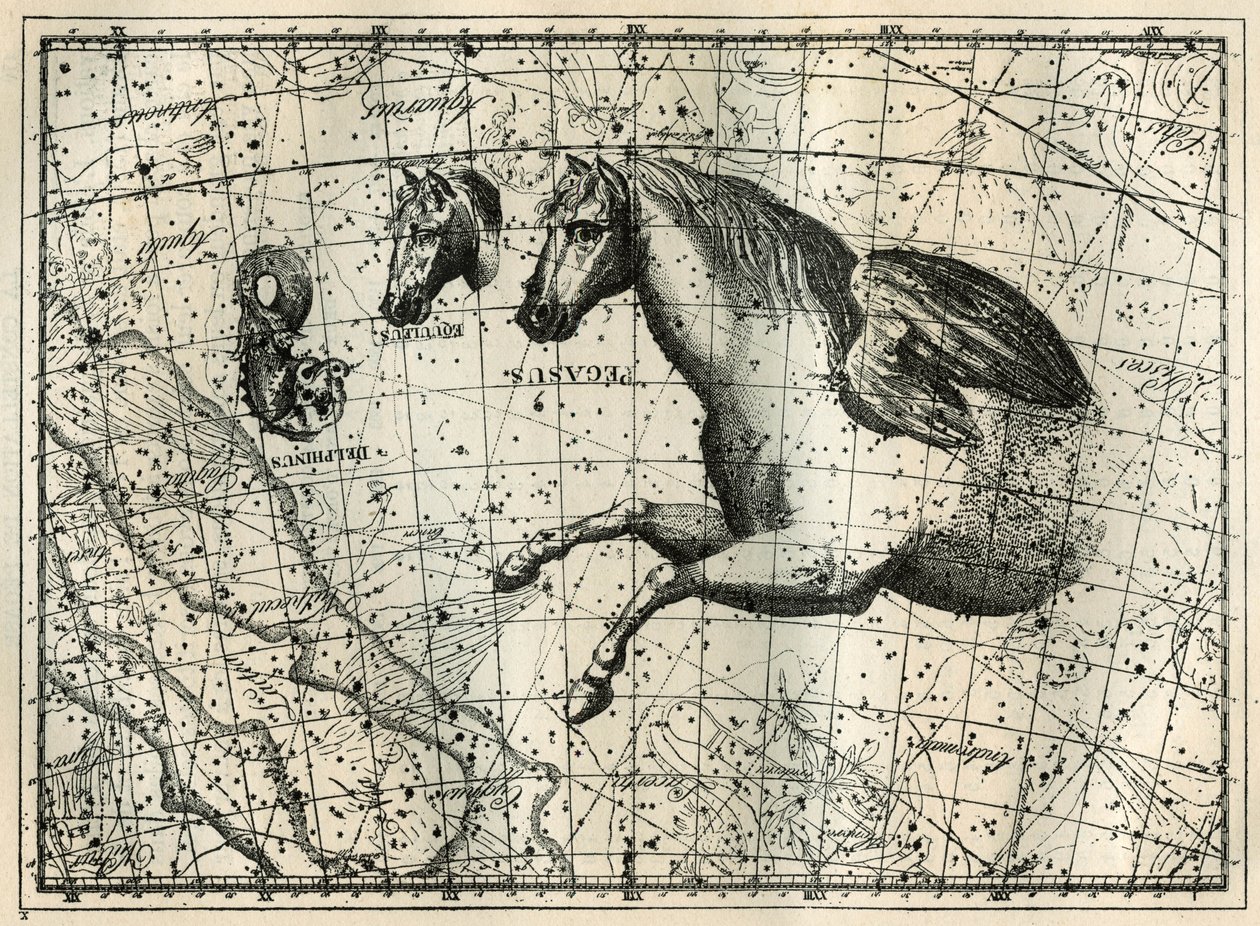 The Constellation of Pegasus, Drawn Like the Anterior Half of a Horse with a Pair of Wings, the Little Horse, a Horse