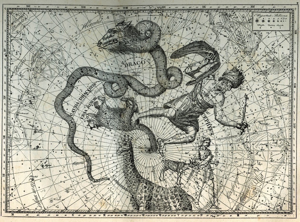The nearby constellations of the North Pole: Little Bear, Dragon, Cephee, Giraffe, Reindeer and Messier. Engraving from Camille Flammarion
