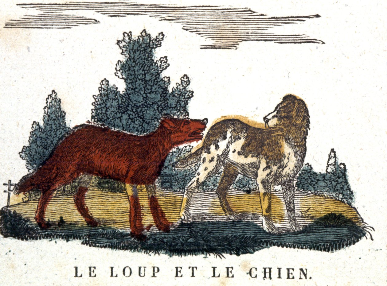 The wolf and the dog, La Fontaine