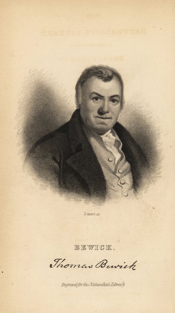 Thomas Bewick, English engraver and natural history author by Unbekannt
