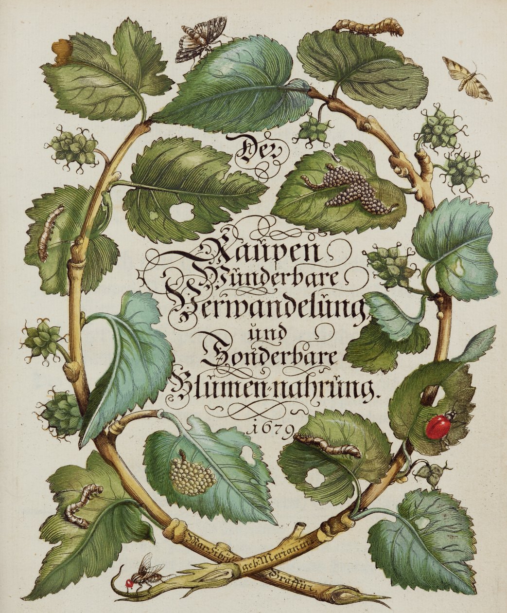 Title Page from Natural History Book by Alec Hunter