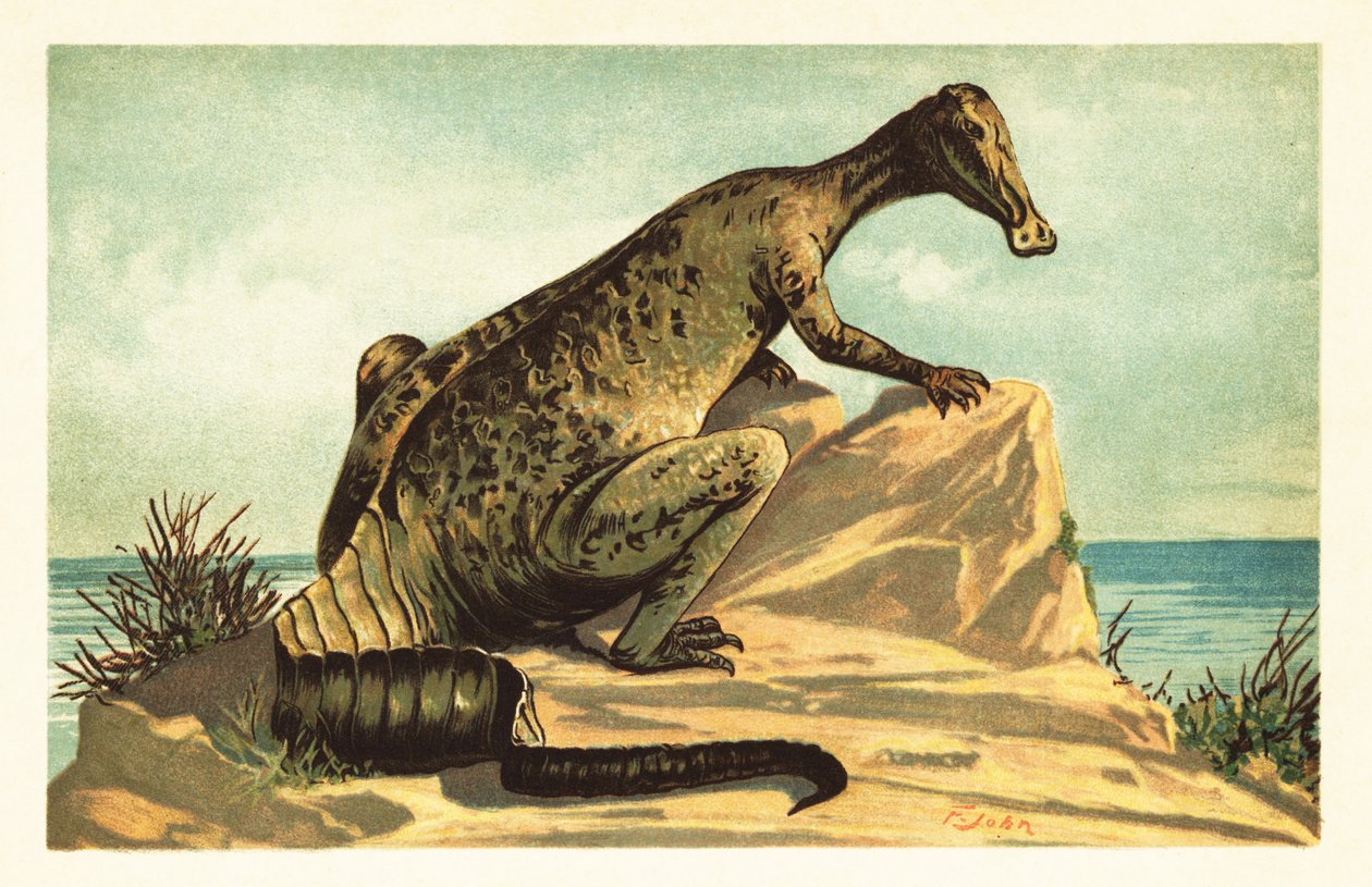 Trachodon Mirabilis by Unbekannter Künstler