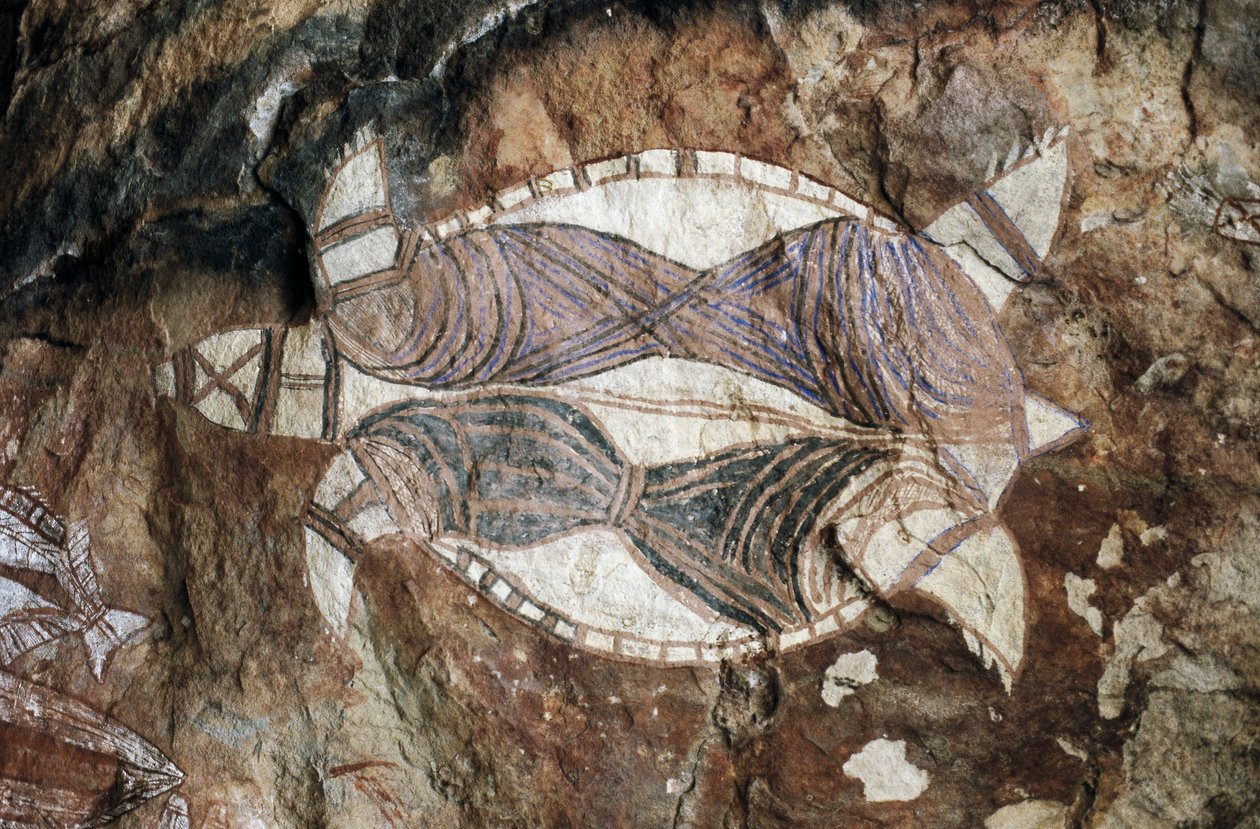 Turtle, Rock Painting, Arnhem Land, Northern Territory, Australia, Aboriginal Culture by Benjamin Baud