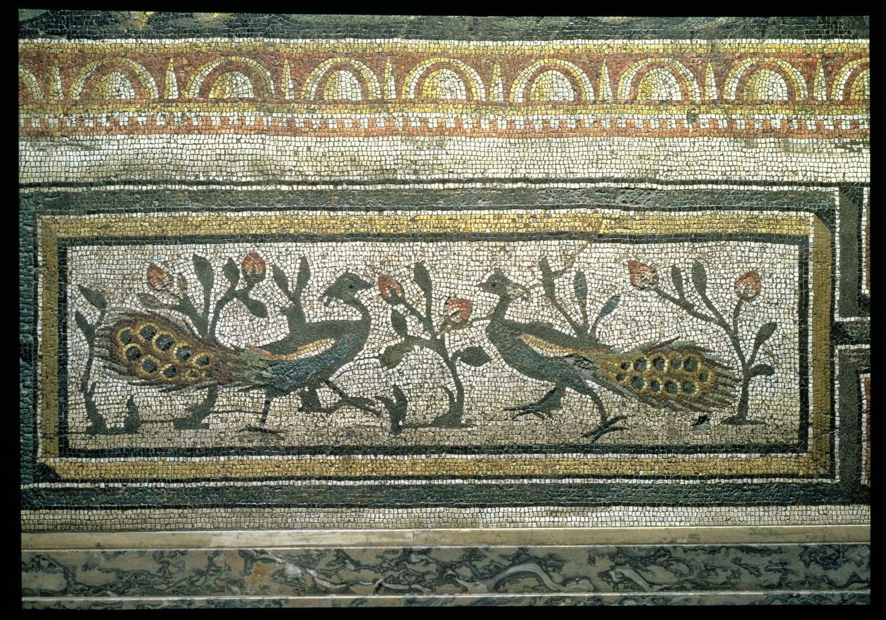 Two Peacocks, Decorative Border Detail from a Mosaic Pavement Depicting the Seasons and Hunting Scenes, from the Constantinian Villa at Daphne, Roman, c.325-330 AD by Unbekannt