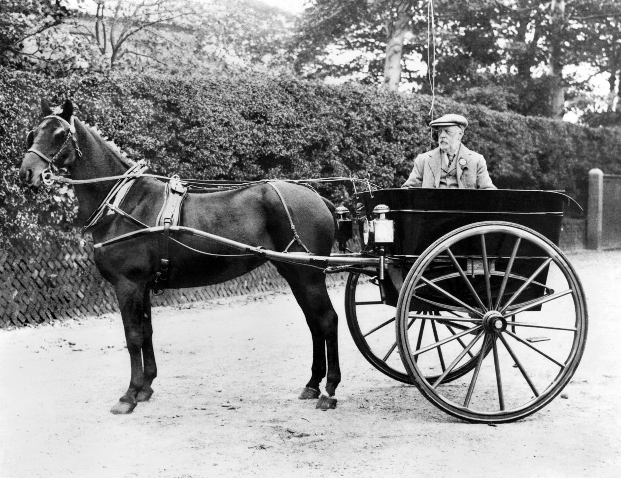 United Kingdom: A Horse and Trap. c1905 by Unbekannt