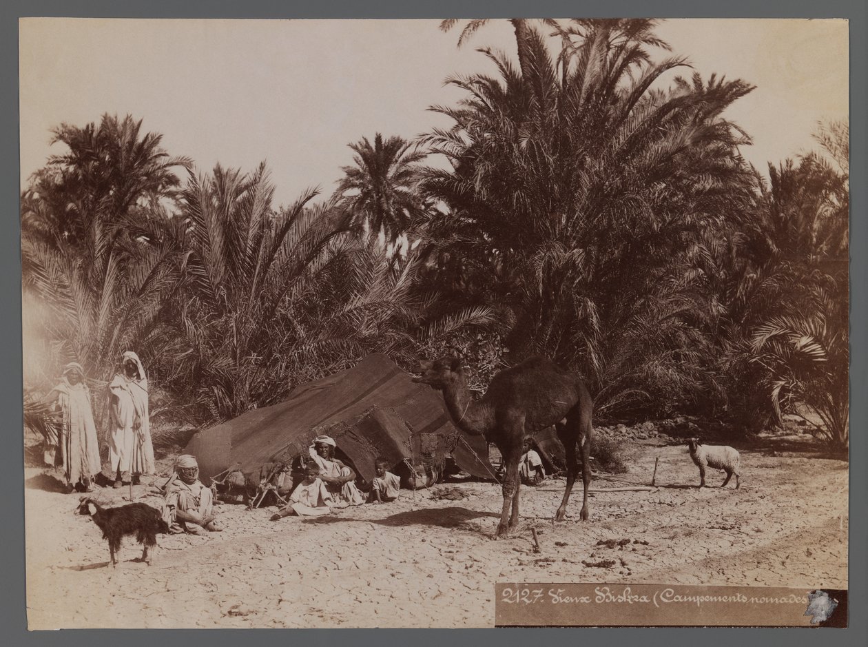 View from a site in North Africa- Nomad Camp by Unbekannt