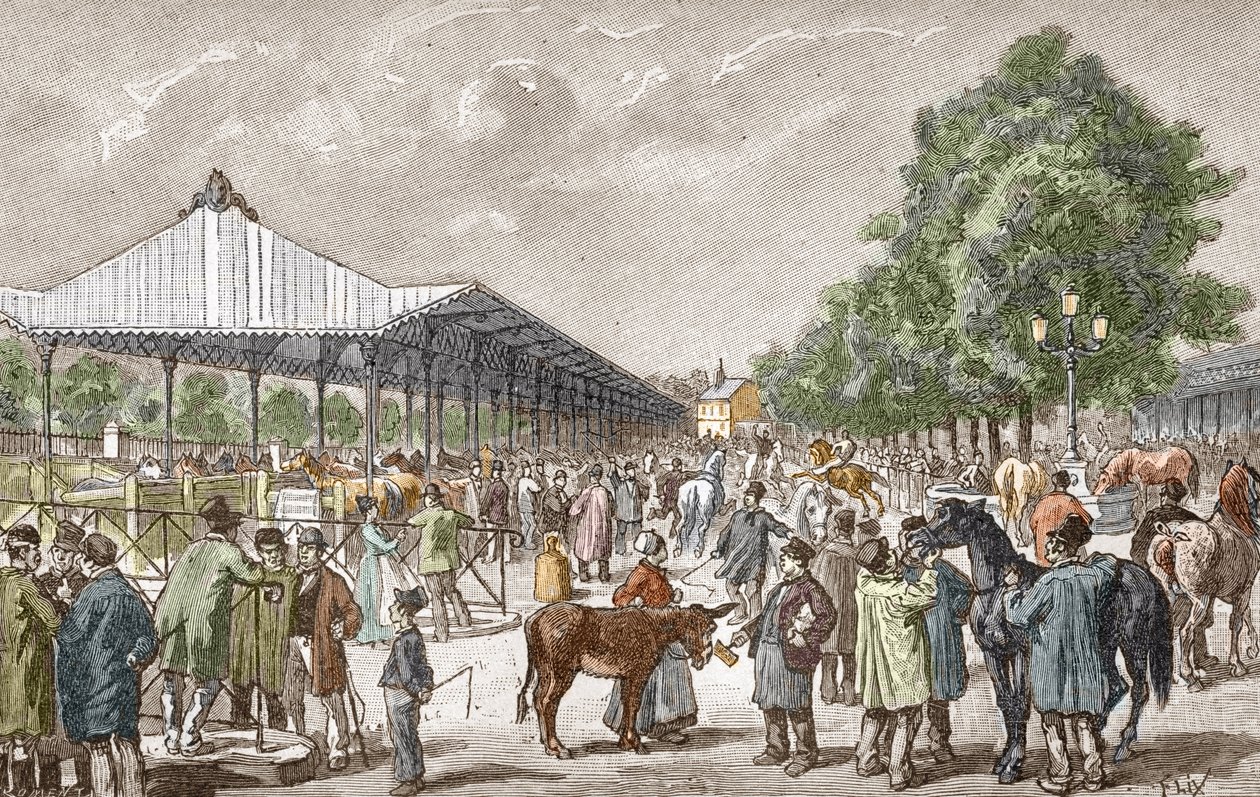 View of the Horse Market in the 5th District of Paris by Unbekannter Künstler
