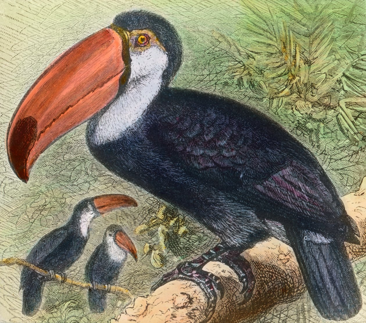 Visiting a Bird
