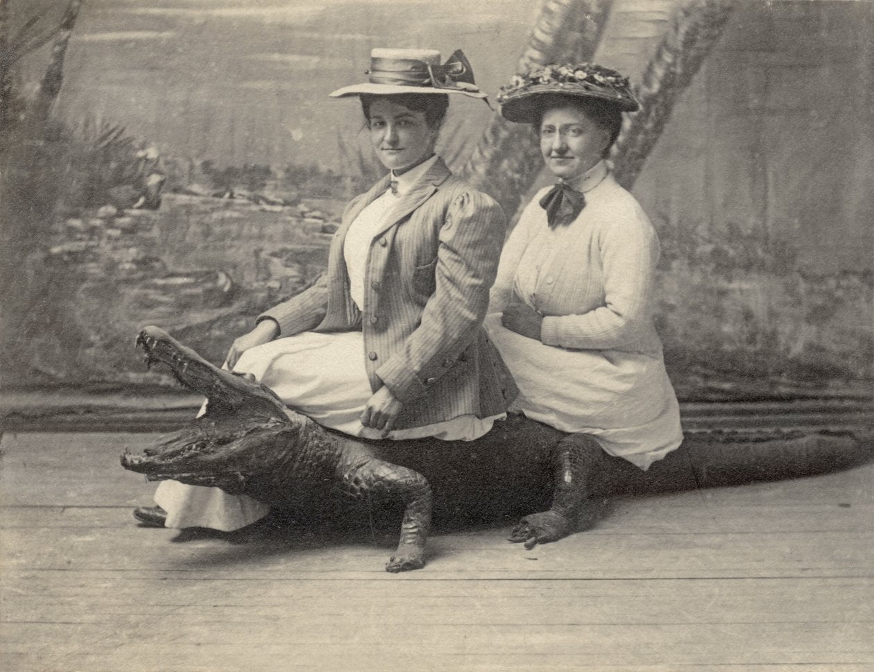 Women sitting on a stuffed alligator, c.1905 by Unbekannter Künstler