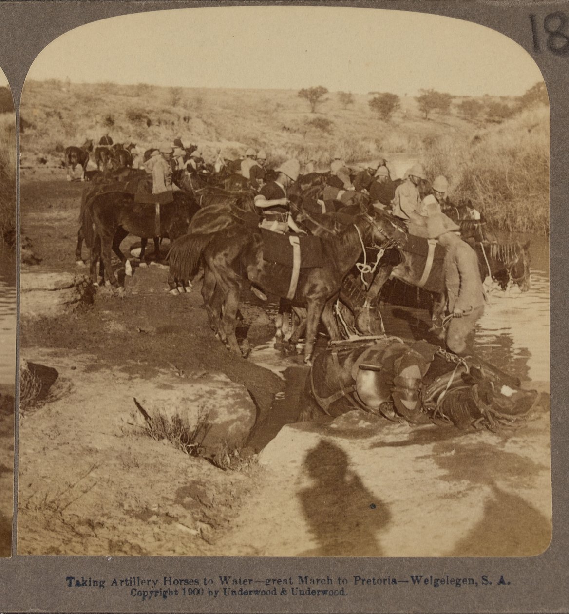 Watering Artillery horses, Welgelegen, South Africa by Underwood and Underwood