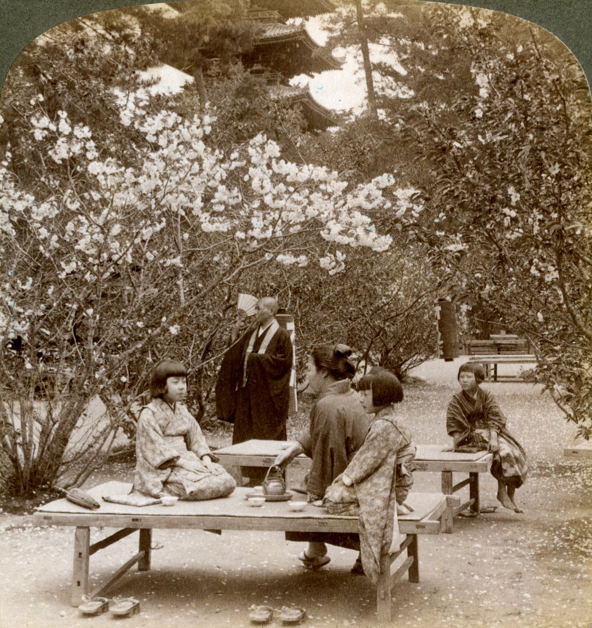 A Family Enjoying a Picnic under the Cherry Blossoms, Omuro Gosho, Kyoto, Japan by Underwood and Underwood