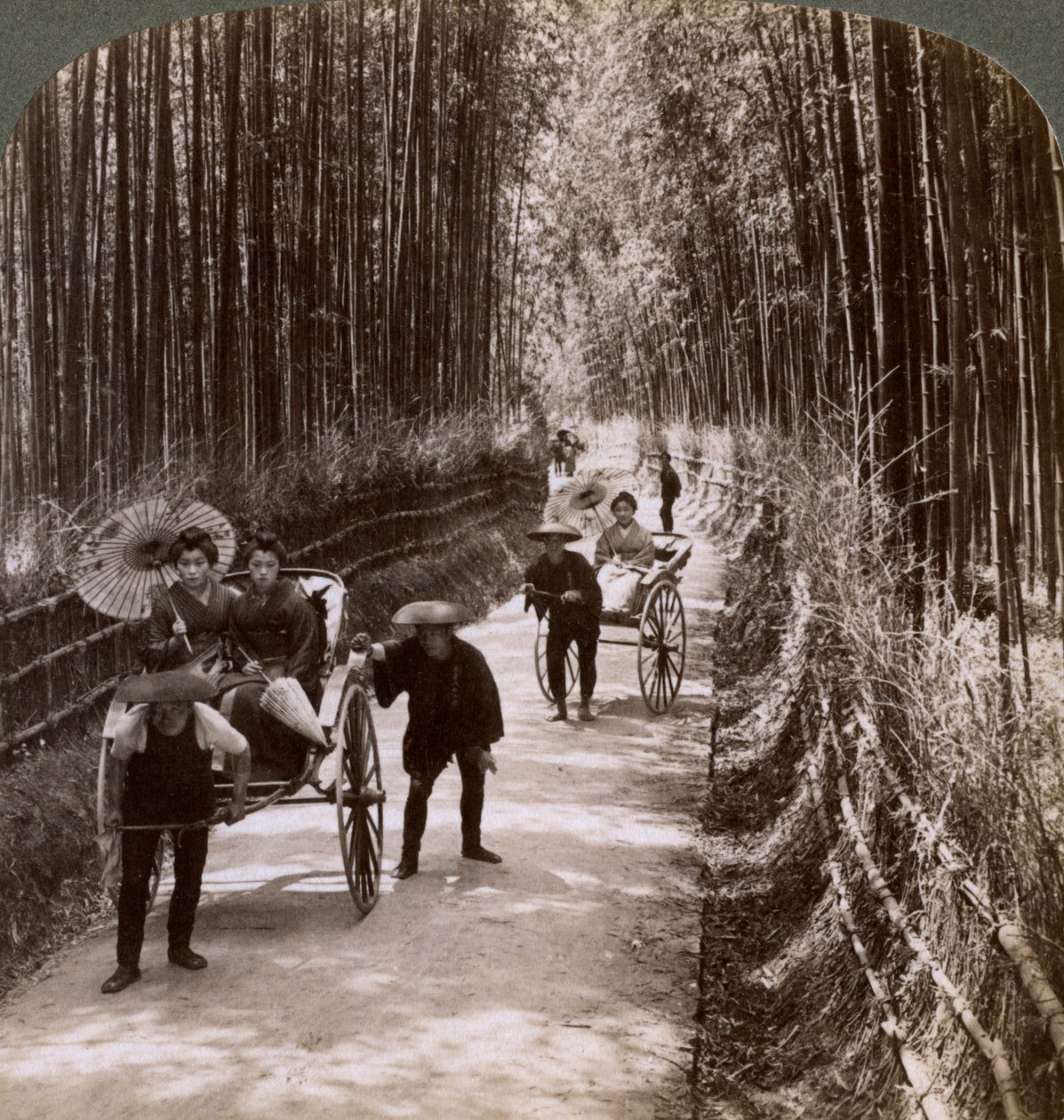 Bamboo Avenue, Looking South-West, Near Kiyomizu, Kyoto, Japan, 1904 by Underwood and Underwood