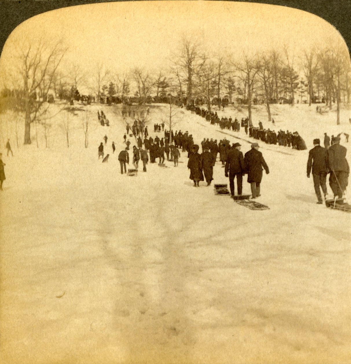 Canadian winter sports - tobogganing by Underwood and Underwood