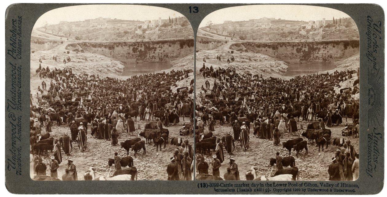 Cattle Market Day in the Lower Pool of Gihon, Valley of Hinnom, Jerusalem, Palestine by Underwood and Underwood