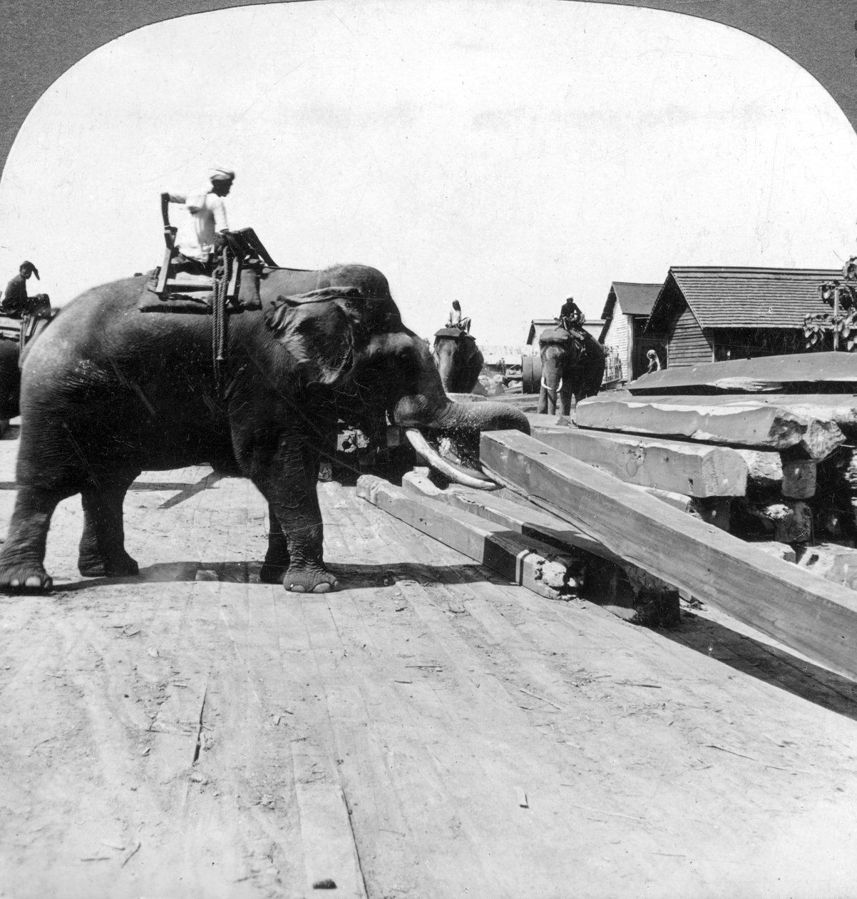 Elephants Moving Timber, Rangoon, Burma Myanmar by Underwood and Underwood