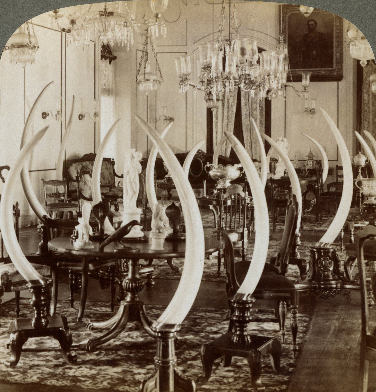 Hall of Tusks, in the Home of Lady de Soysa, Bambalapitiya, Colombo, Ceylon by Underwood and Underwood