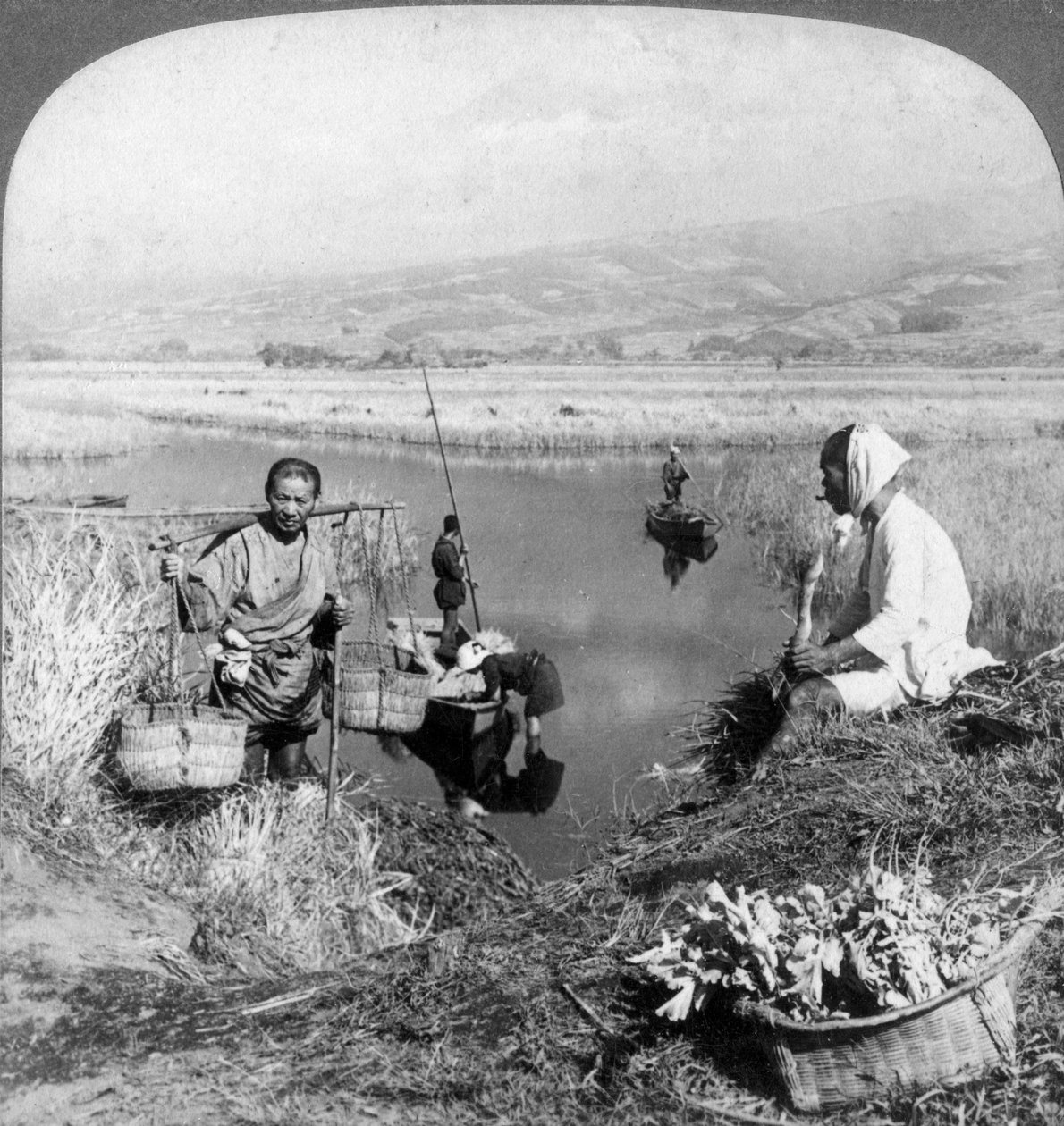Men Gathering Rushes Near Suzukawa, Fujiyama, Japan by Underwood and Underwood