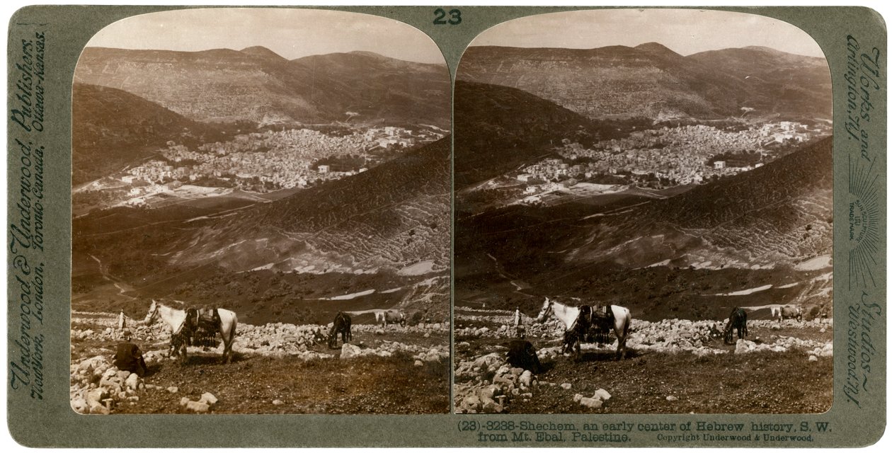 Shechem, South-West from Mount Ebal, Palestine, 1900s by Underwood and Underwood