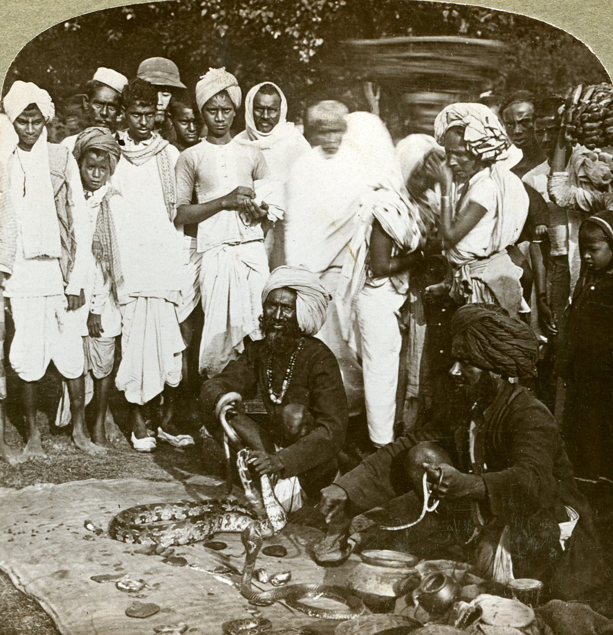 Snake Charmer, Calcutta, India by Underwood and Underwood
