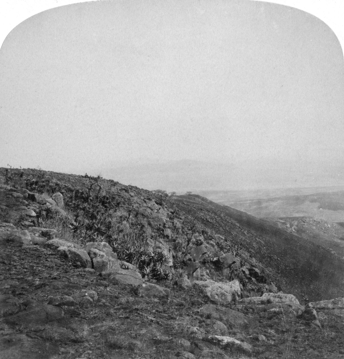 South slope of Spion Kop, South Africa, Boer War by Underwood and Underwood
