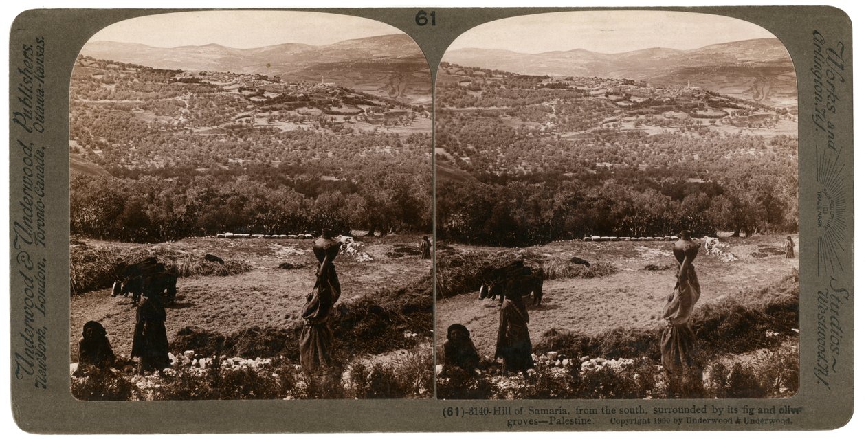 The Hill of Samaria, from the South, Surrounded by Its Fig and Olive Groves, Palestine by Underwood and Underwood