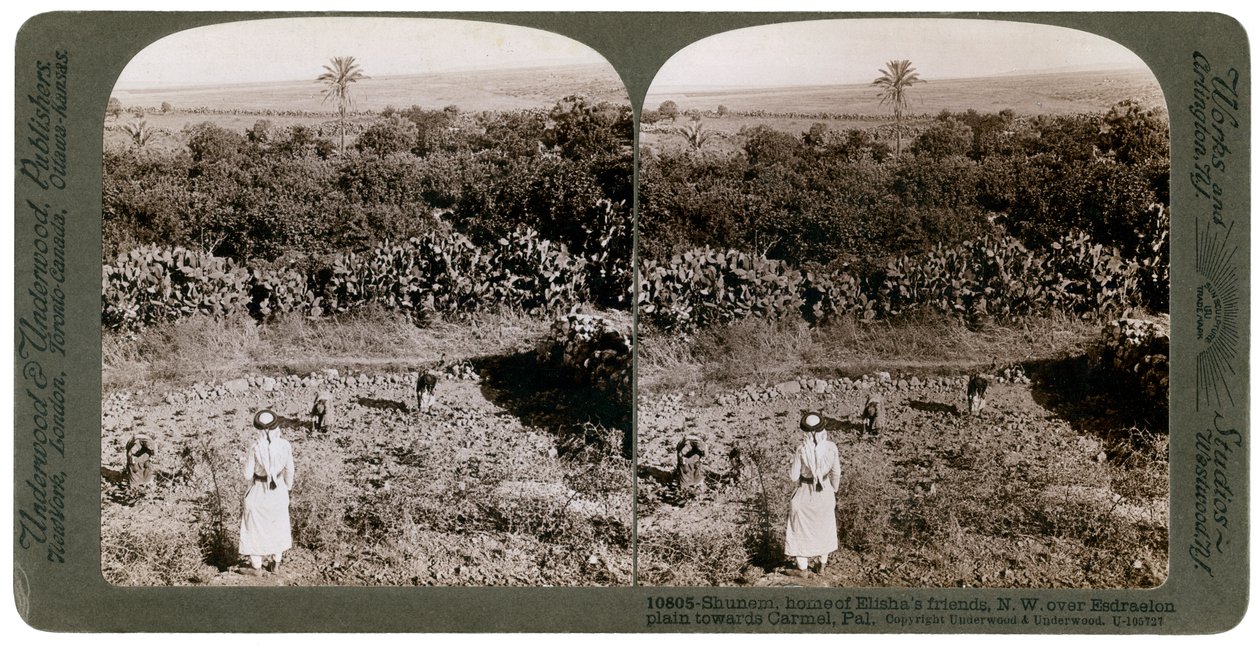 The north-west view from Shunem, across the Plain of Esdraelon, towards Carmel by Underwood and Underwood