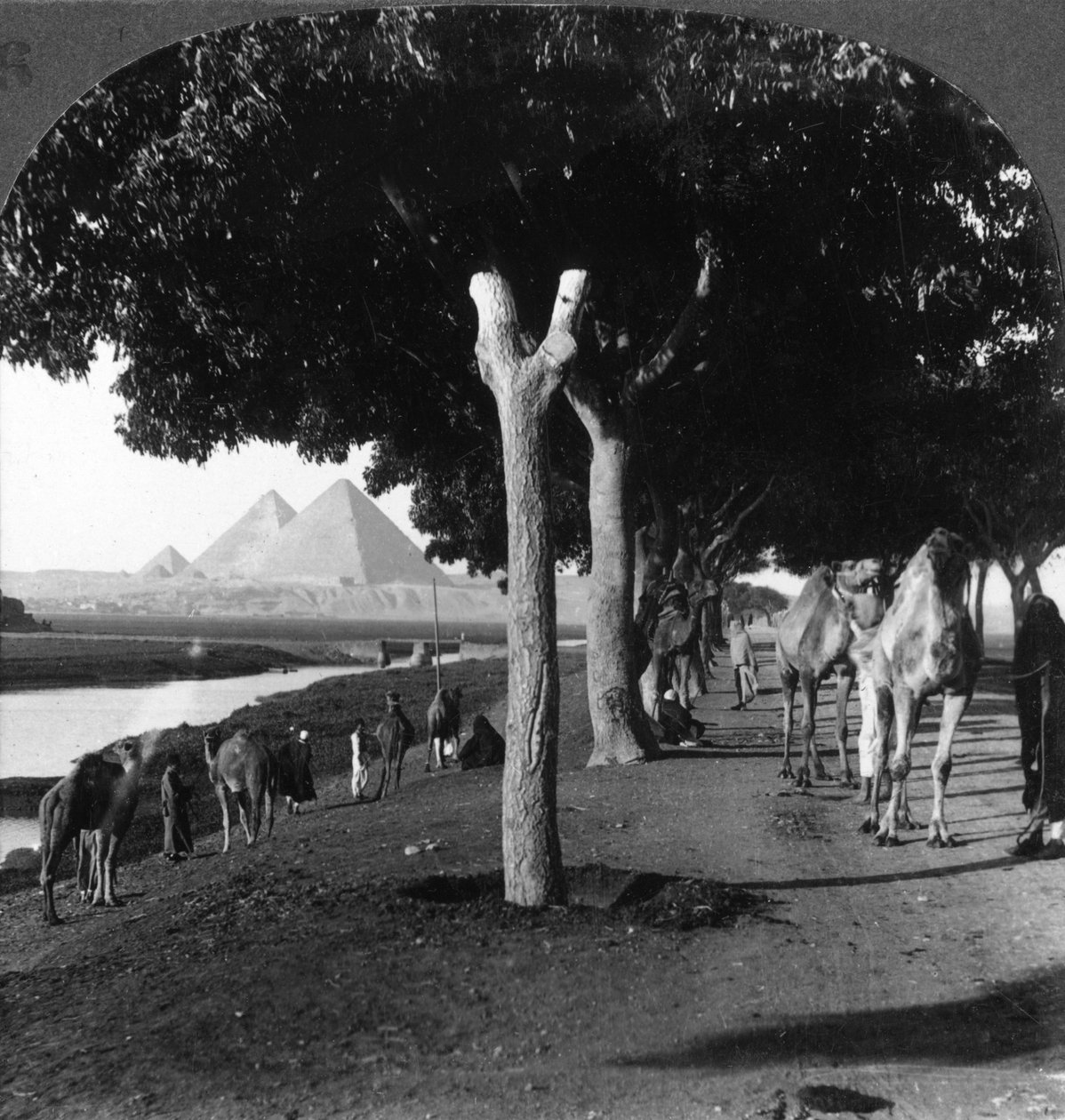 The Road to the Pyramids, Giza, Egypt, 1905 by Underwood and Underwood