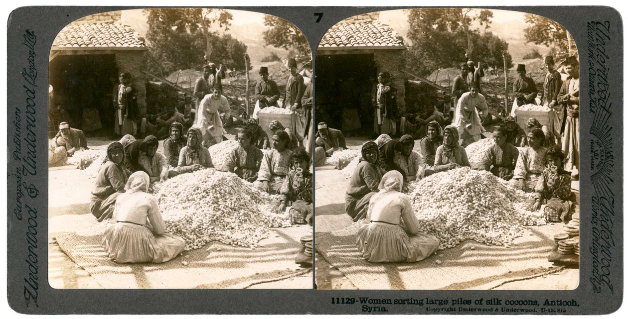 Women sorting large piles of silk cocoons, Antioch, Syria by Underwood and Underwood
