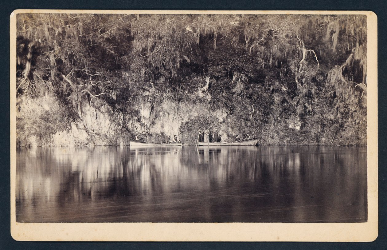 Under the Bluffs of the Withlacoochee River, Florida by Unidentified