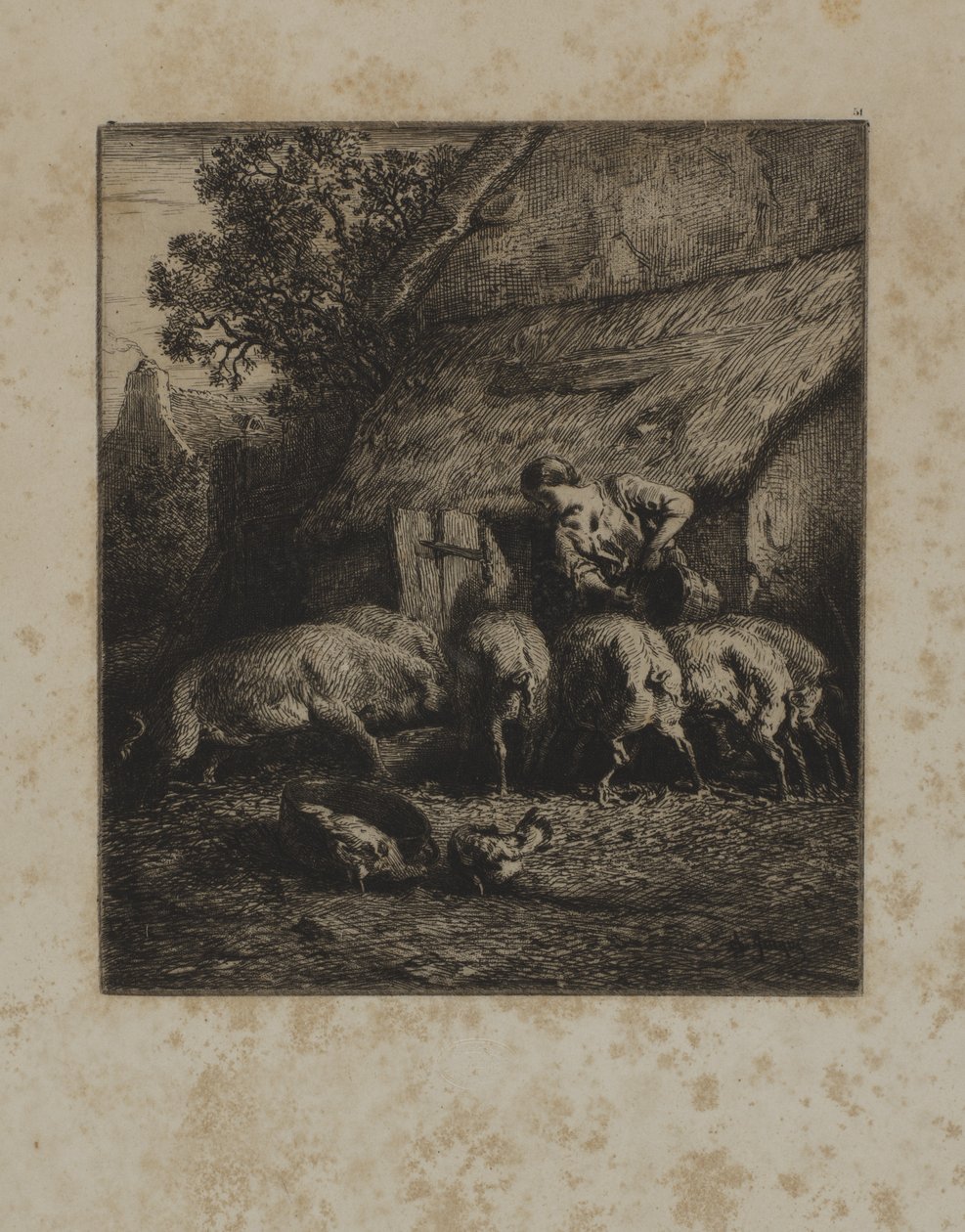 Woman Feeding Hogs by Unidentified