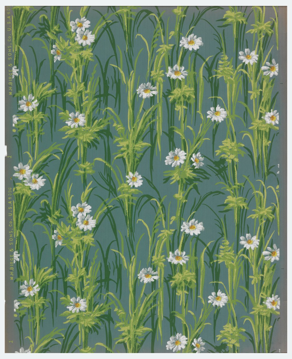 Sidewall (USA), 1890–1920 by Unknown