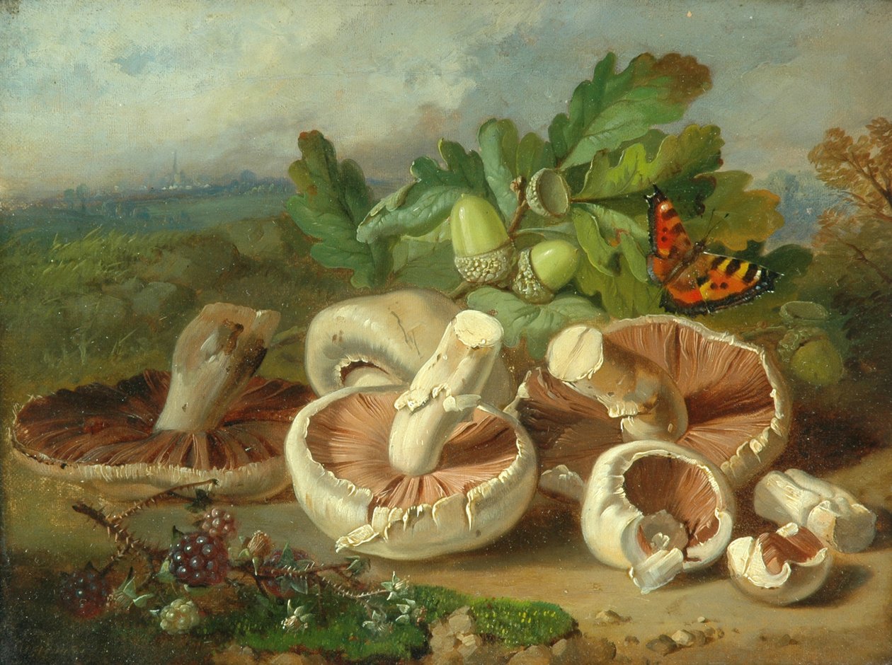 Still Life with Mushrooms, 1859 by Unknown