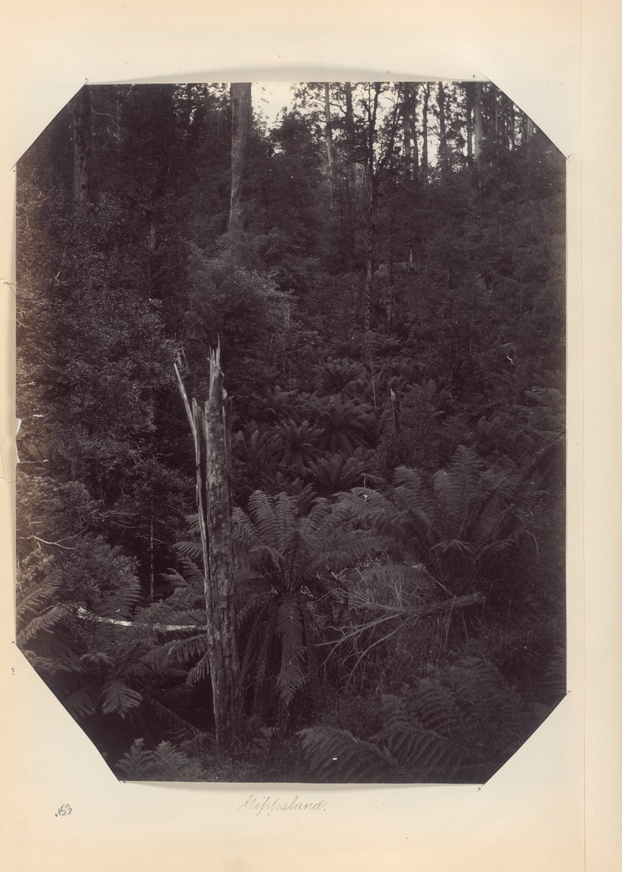 Australia - (Victoria and S. Australia) by Unknown