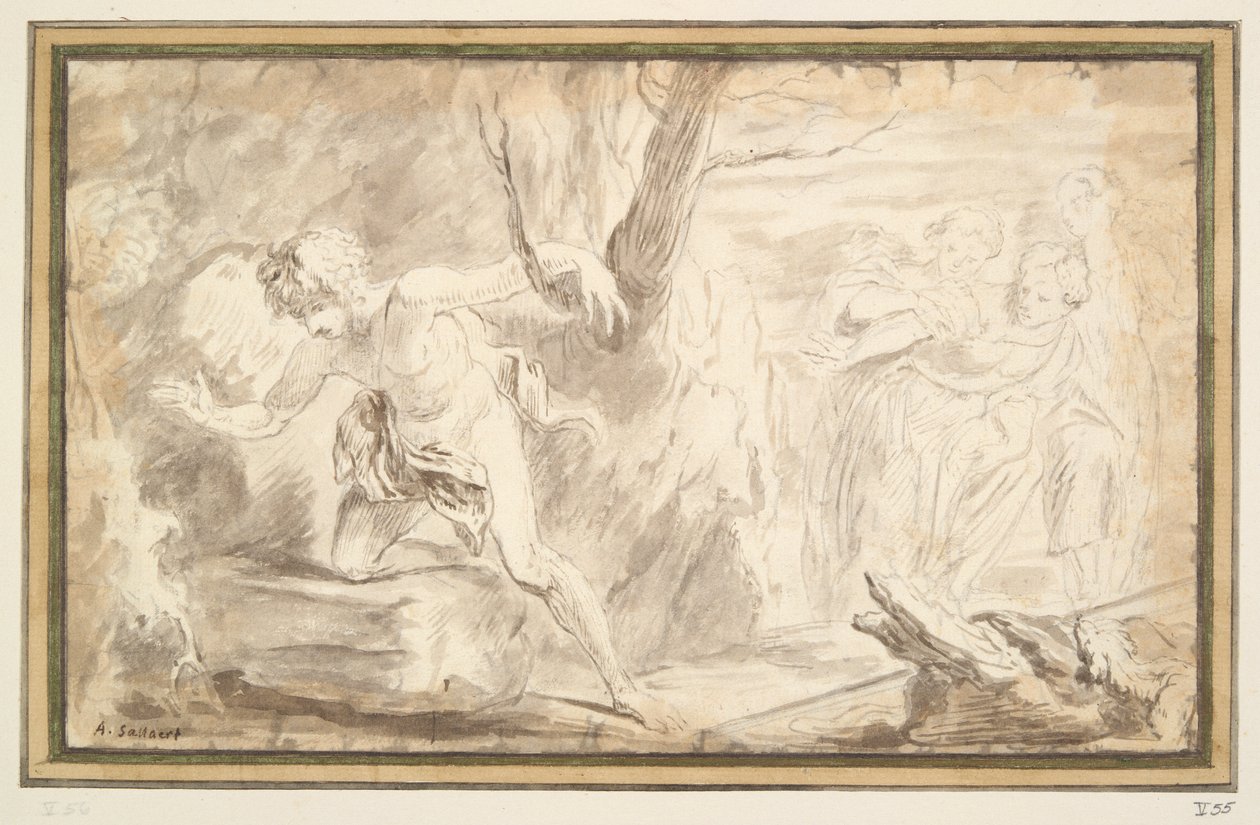 Narcissus by Unknown