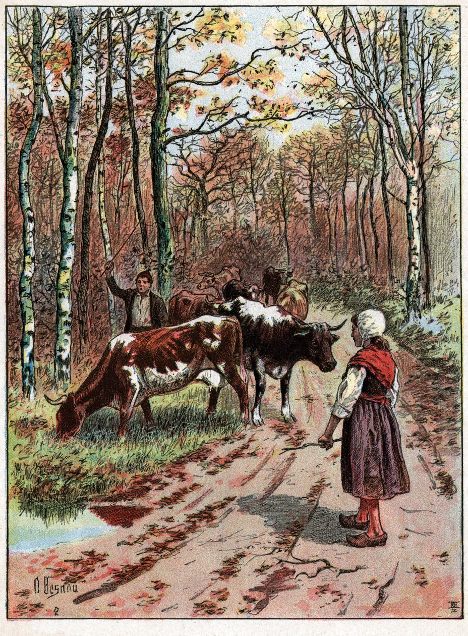 Herd of Cows by Unknown