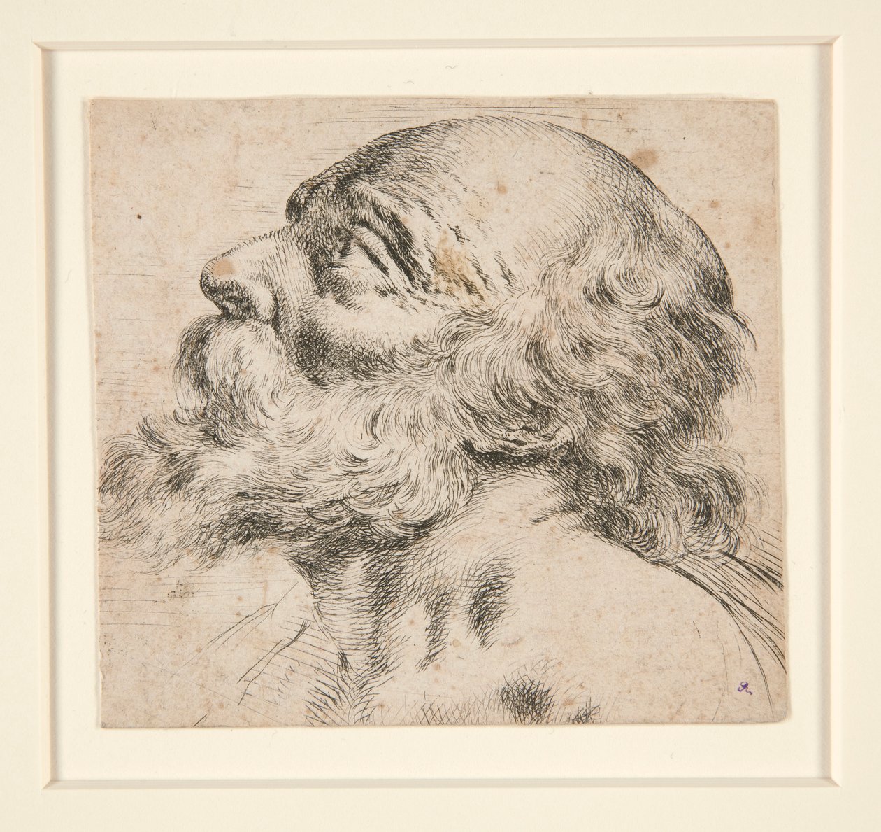 Untitled (Bearded Man, Looking Up to Right) by Unknown