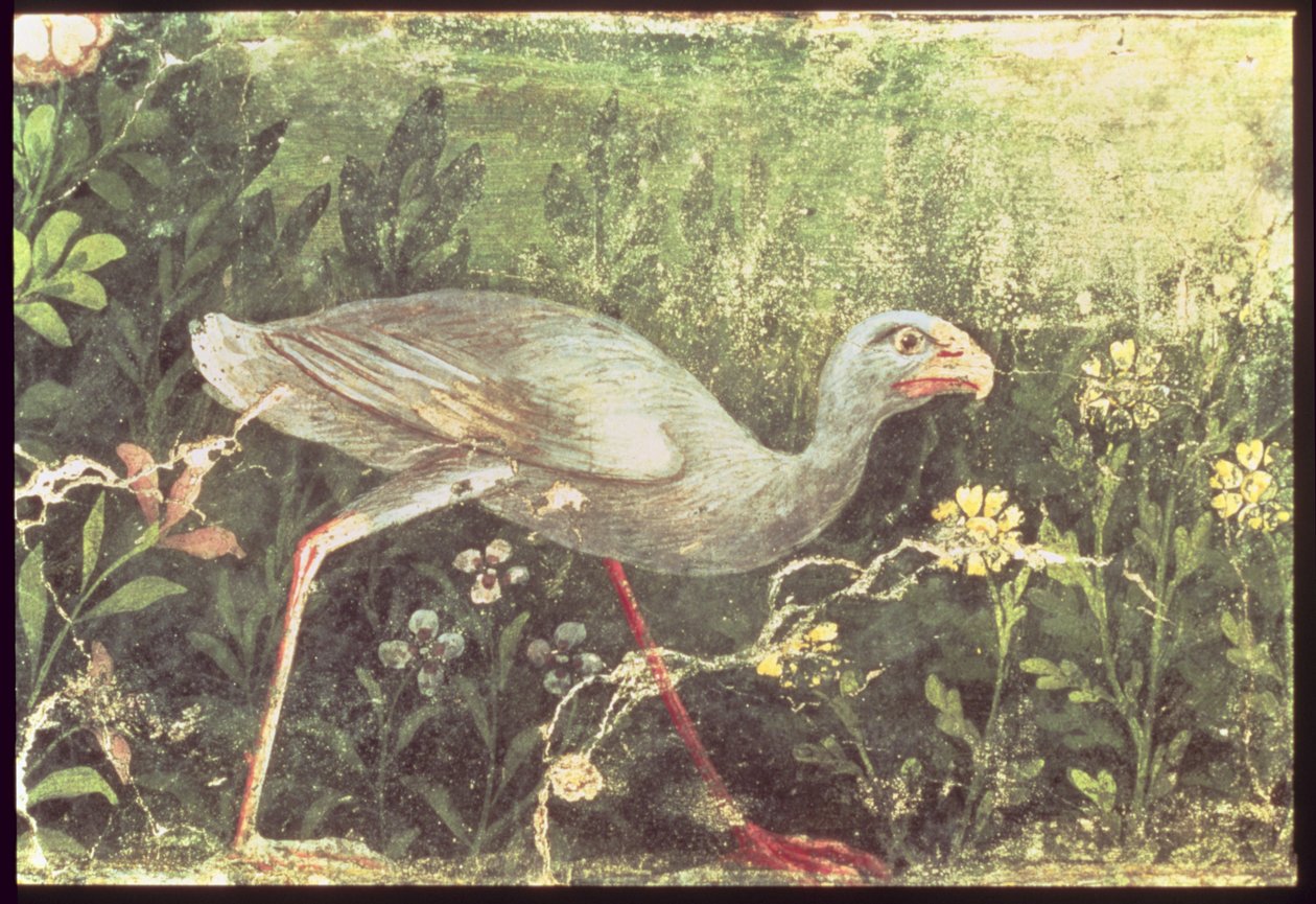 Wall Painting of a Sultan Chicken in a Garden, Pompeii by Unknown