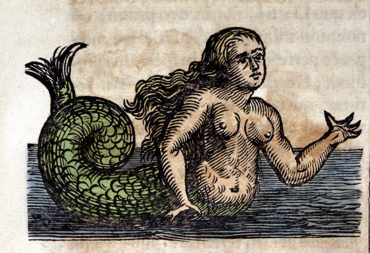 A Siren, Legendary Person - Engraving from a work by Athanasius Kircher (1601 - 1680), Jesuit, Orientalist and German scholar by Unknown artist