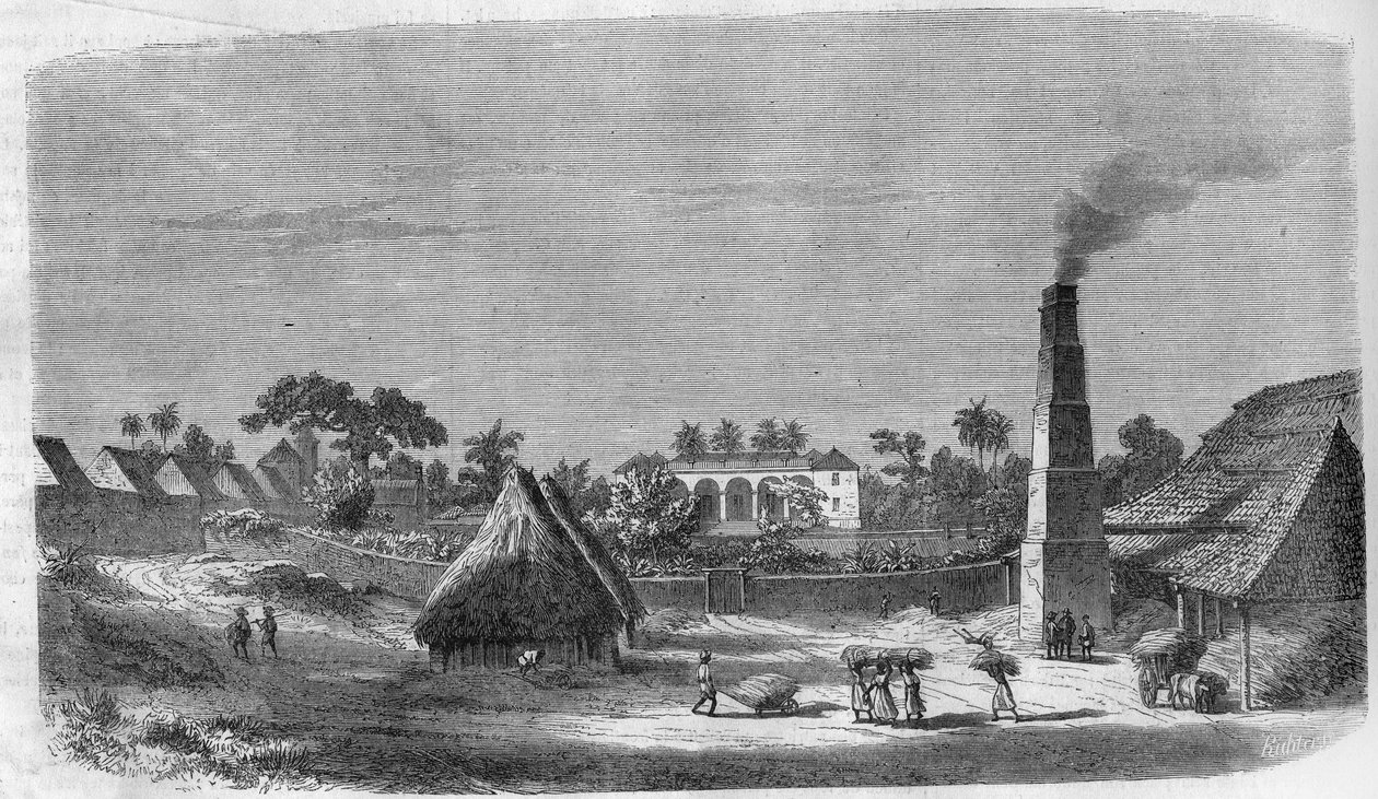 A Candy Factory on the Island of Cuba in 1869. by Unknown artist