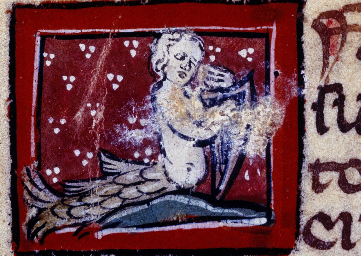 A Siren - Bestiary of the 14th Century. Milan, Biblioteca Trivulziana by Unknown artist
