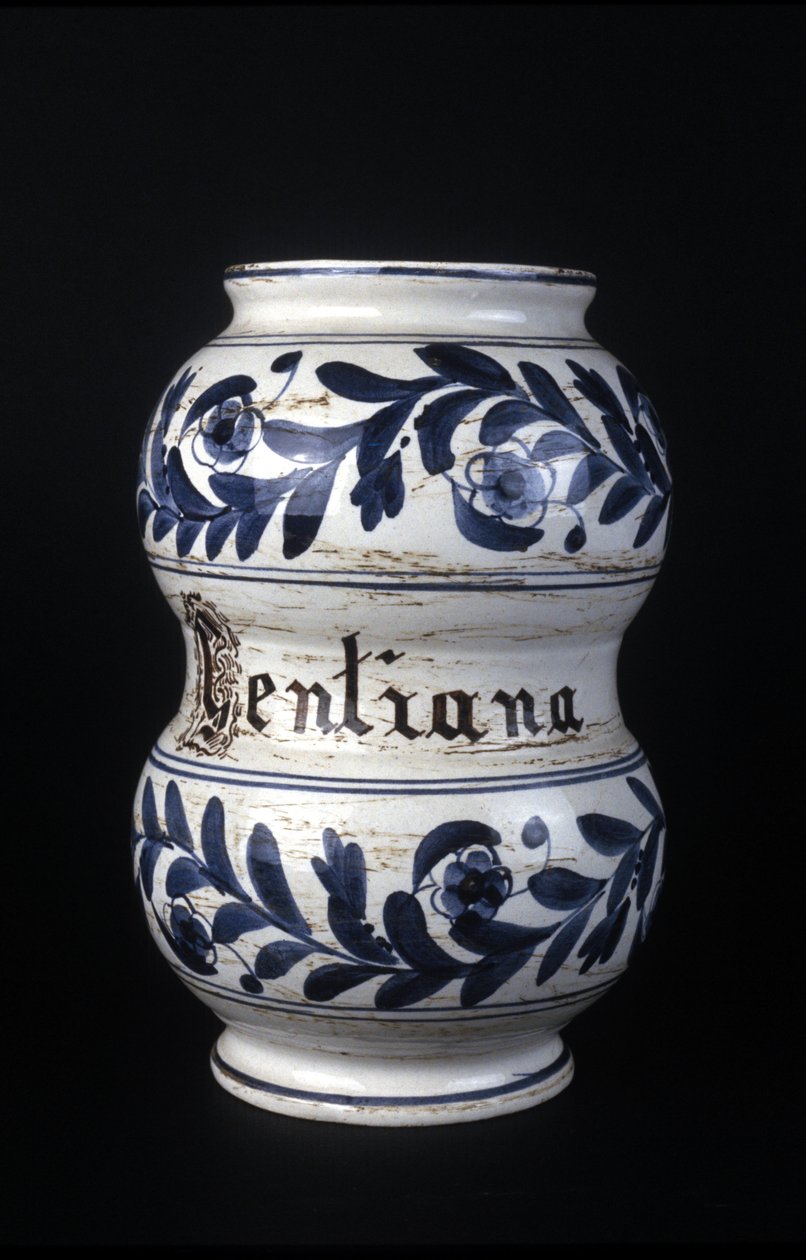 Albarelle: former 16th century pharmacy vase containing gentian. Museum of Science and Technology, Milan by Unknown artist