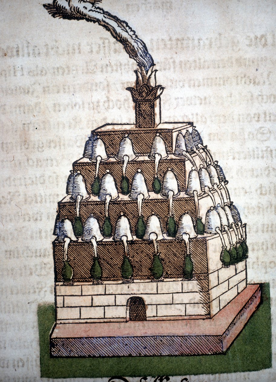 Alchemy: the Athanor Four from a book by Pietro Andrea Mattioli (Matthiole) (1500-1577). Frankfurt by Unknown artist