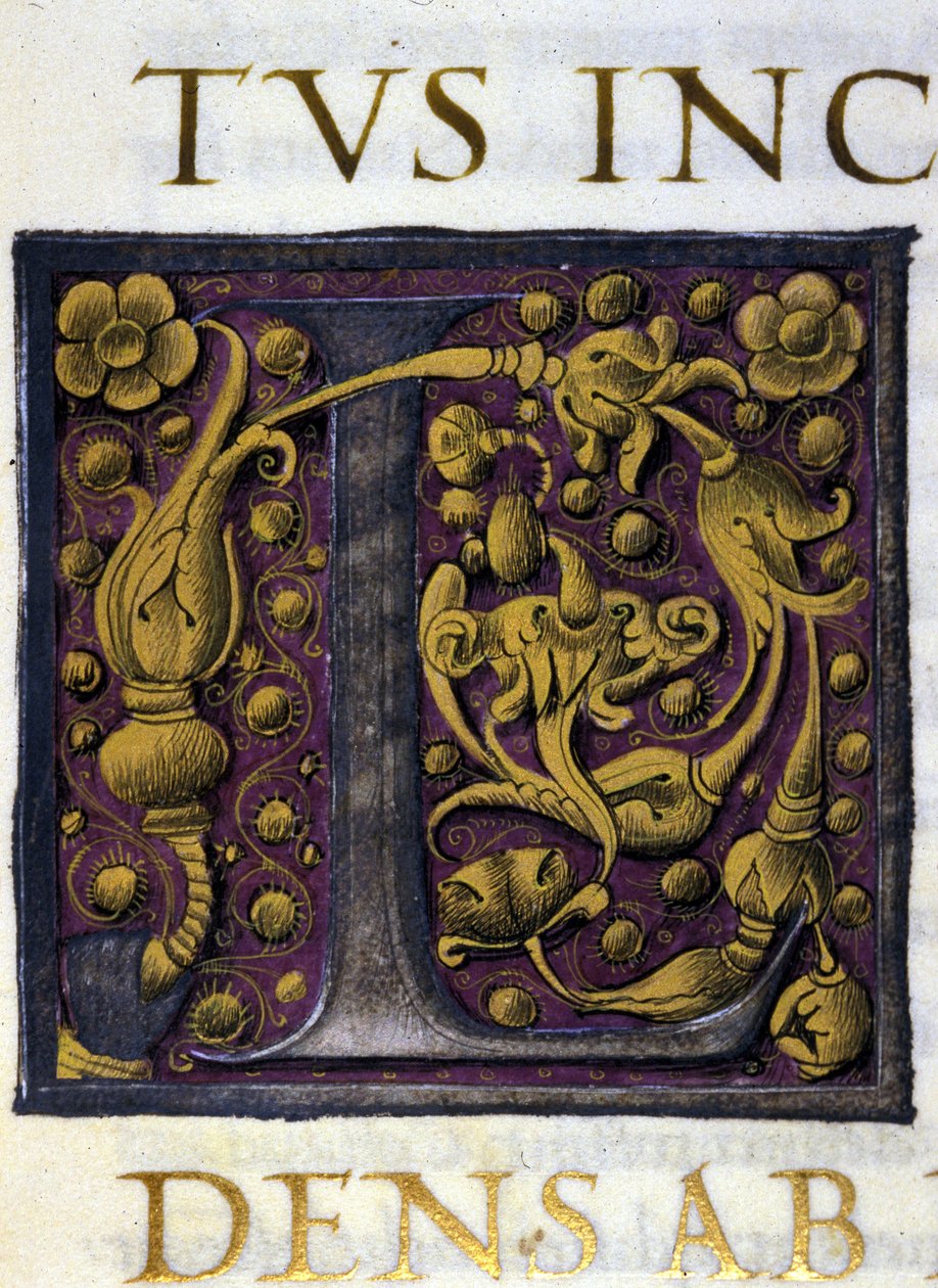 Alphabet: miniaturized letter L by Unknown artist