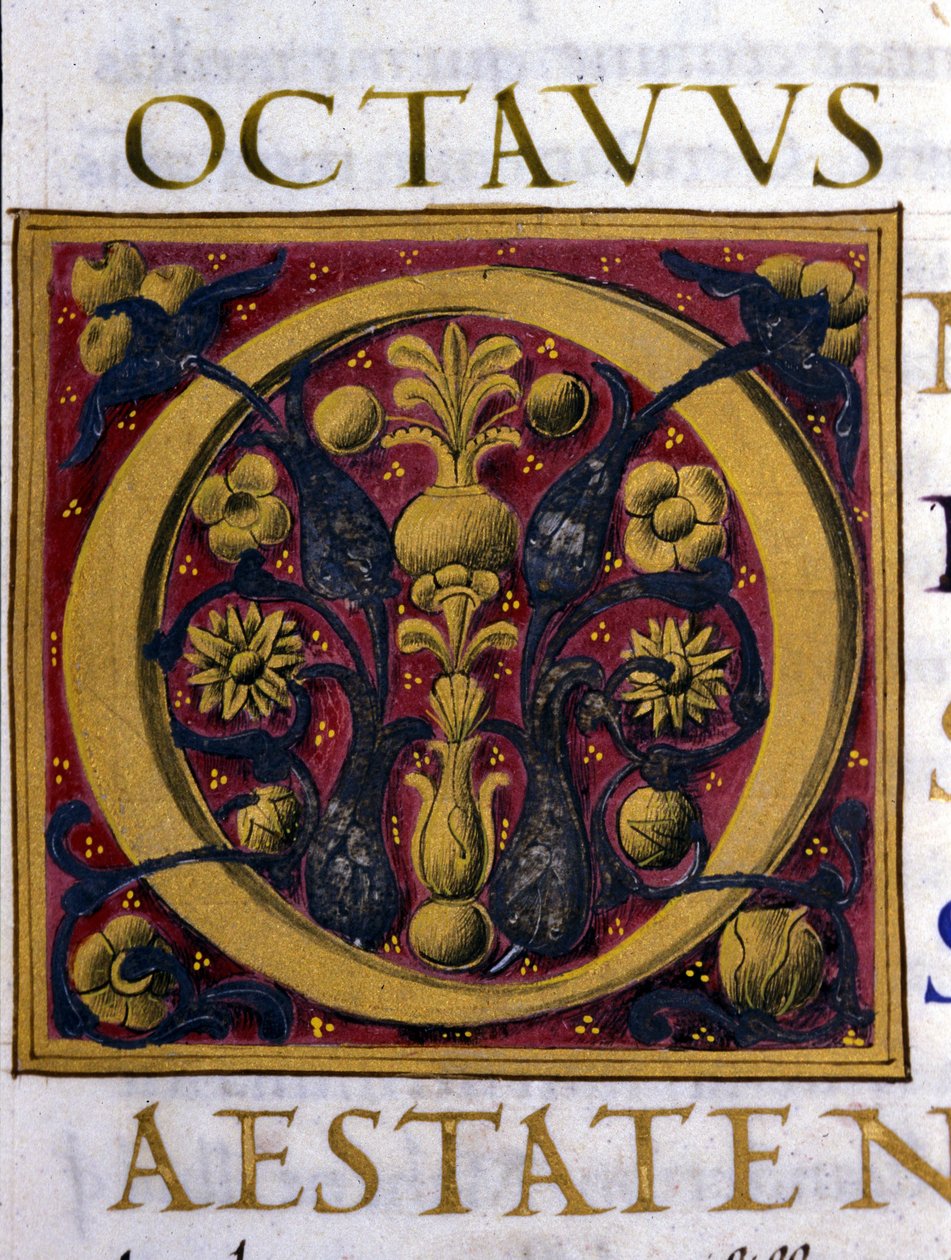Alphabet: miniaturized letter O by Unknown artist