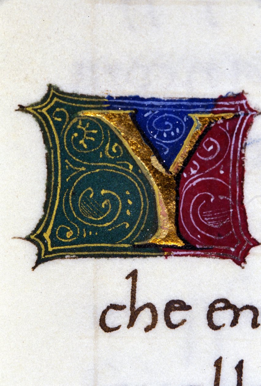 Alphabet: miniaturized letter Y by Unknown artist