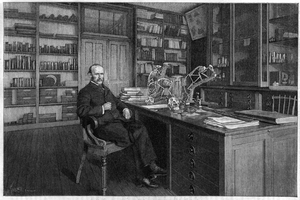 Alphonse Milne Edwards by Unknown artist