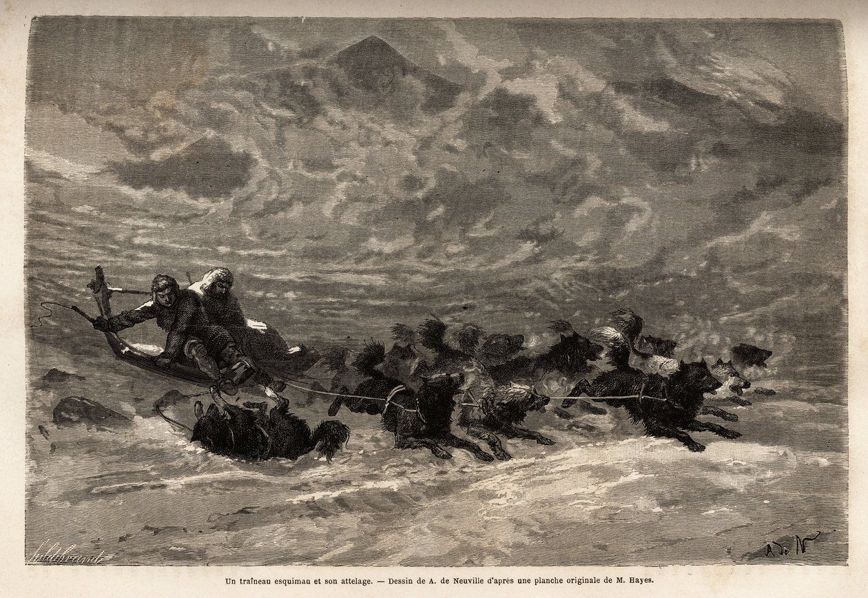 An Eskimo sleigh and its dog team, the fastest and most reliable way to travel in the Arctic. Engraving to illustrate the voyage to the free sea of the Arctic pole, by Doctor Hayes, surgeon of the United States Navy, in 1860-1862, published in 